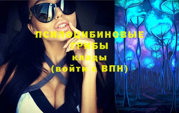 ешки Россошь